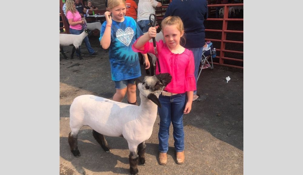 SheepWinner2_AJ_2021.jpg